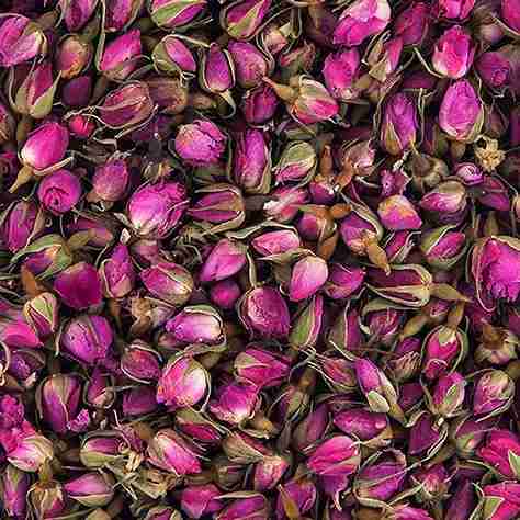 تصویر 2 از قیمت غنچه گل محمدی + خرید باور نکردنی